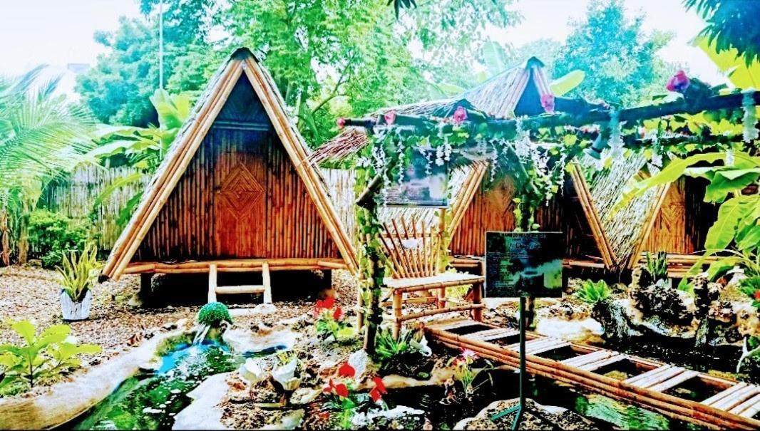 Moalboal Bamboo House / Rooms Buitenkant foto