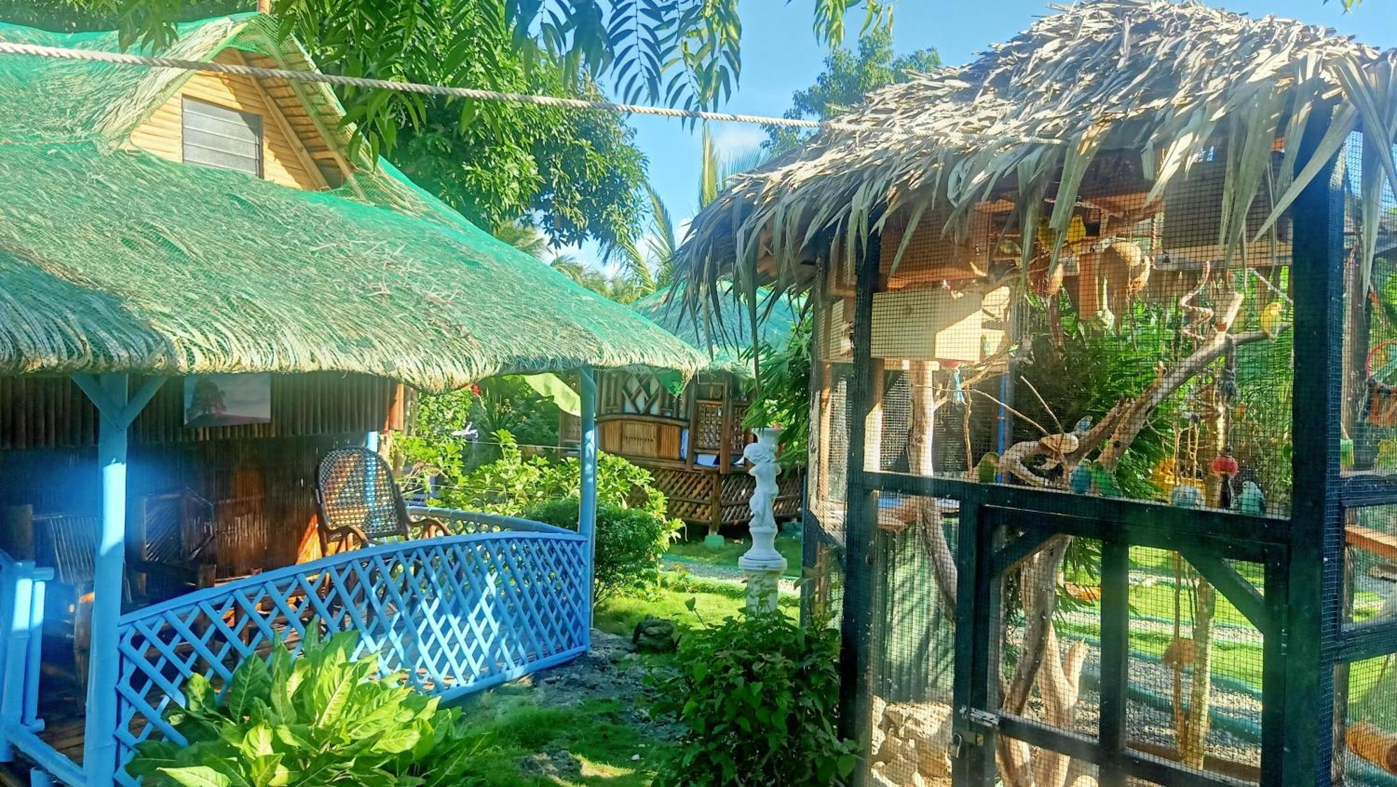 Moalboal Bamboo House / Rooms Kamer foto