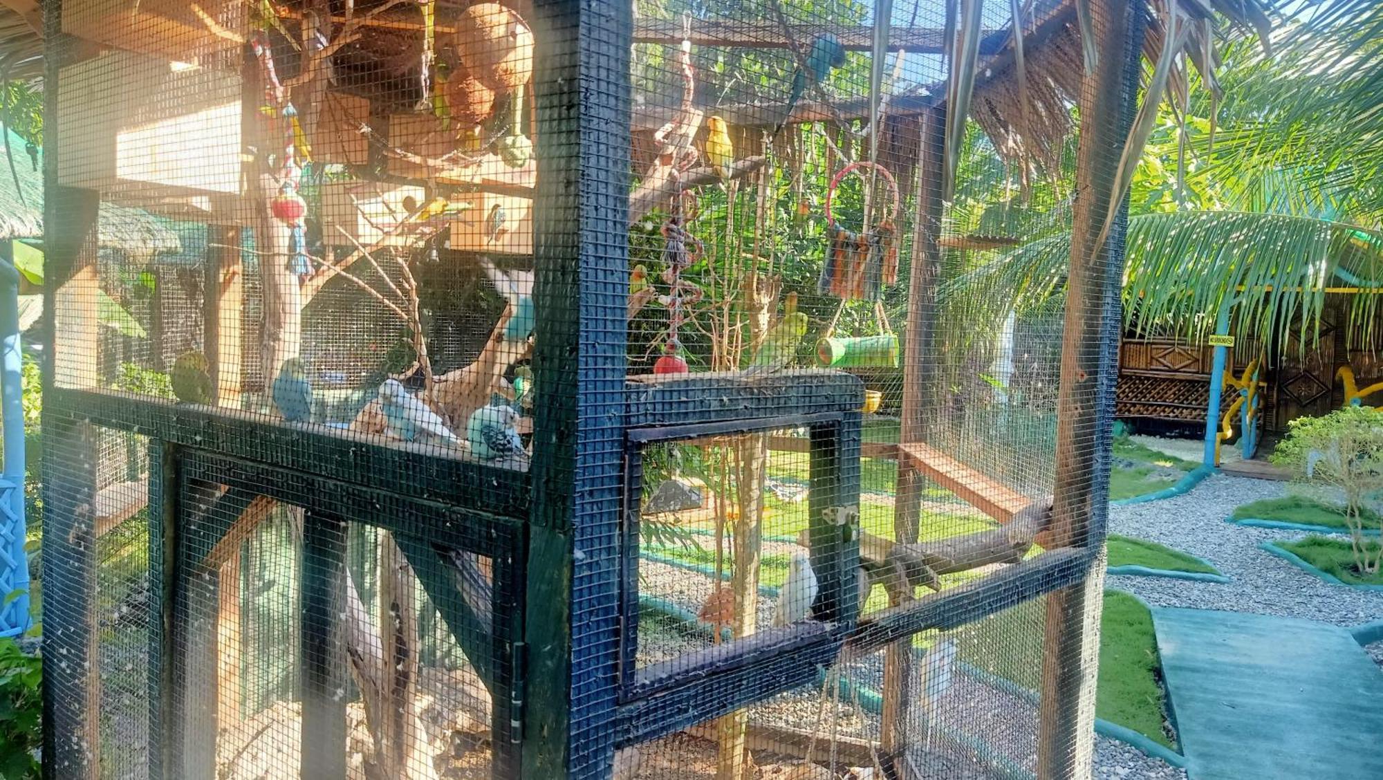 Moalboal Bamboo House / Rooms Kamer foto